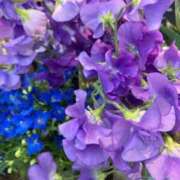 ヒメ日記 2025/01/23 21:30 投稿 天海佑梨 プレジデントハウス