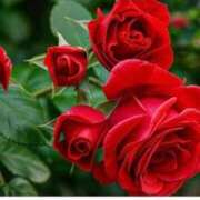 ヒメ日記 2025/01/26 17:18 投稿 天海佑梨 プレジデントハウス