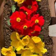 ヒメ日記 2025/01/30 22:07 投稿 天海佑梨 プレジデントハウス