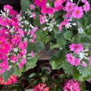 ヒメ日記 2025/02/06 19:32 投稿 天海佑梨 プレジデントハウス