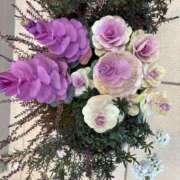 ヒメ日記 2025/02/16 16:58 投稿 天海佑梨 プレジデントハウス