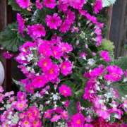 ヒメ日記 2025/02/21 19:22 投稿 天海佑梨 プレジデントハウス