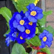 ヒメ日記 2025/02/26 20:34 投稿 天海佑梨 プレジデントハウス