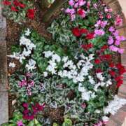 ヒメ日記 2025/03/09 17:16 投稿 天海佑梨 プレジデントハウス