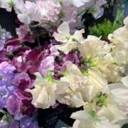 ヒメ日記 2025/03/10 21:13 投稿 天海佑梨 プレジデントハウス