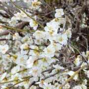 ヒメ日記 2025/03/22 21:04 投稿 天海佑梨 プレジデントハウス