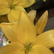 ヒメ日記 2025/04/02 07:18 投稿 天海佑梨 プレジデントハウス