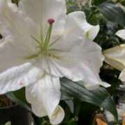 ヒメ日記 2025/04/10 19:18 投稿 天海佑梨 プレジデントハウス