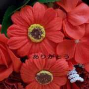 ヒメ日記 2025/04/23 20:07 投稿 天海佑梨 プレジデントハウス