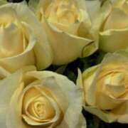 ヒメ日記 2025/04/27 19:32 投稿 天海佑梨 プレジデントハウス