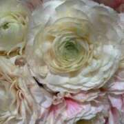 ヒメ日記 2025/05/15 19:17 投稿 天海佑梨 プレジデントハウス