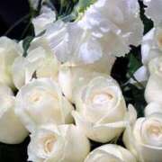 ヒメ日記 2025/05/19 18:54 投稿 天海佑梨 プレジデントハウス