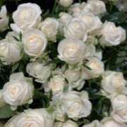 ヒメ日記 2025/06/01 19:33 投稿 天海佑梨 プレジデントハウス