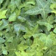 ヒメ日記 2025/06/14 18:10 投稿 天海佑梨 プレジデントハウス