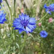 ヒメ日記 2025/07/12 08:16 投稿 天海佑梨 プレジデントハウス