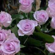 ヒメ日記 2025/07/26 17:42 投稿 天海佑梨 プレジデントハウス