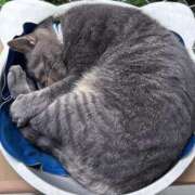 ヒメ日記 2025/09/28 23:37 投稿 天海佑梨 プレジデントハウス