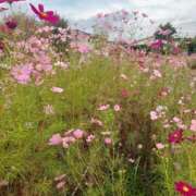 ヒメ日記 2025/10/18 18:02 投稿 天海佑梨 プレジデントハウス