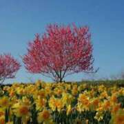 ヒメ日記 2025/10/23 21:33 投稿 天海佑梨 プレジデントハウス