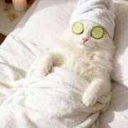 ヒメ日記 2026/01/25 11:21 投稿 天海佑梨 プレジデントハウス