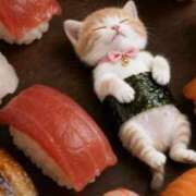 ヒメ日記 2026/02/03 12:56 投稿 天海佑梨 プレジデントハウス