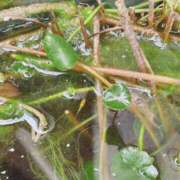 ヒメ日記 2026/02/22 21:40 投稿 天海佑梨 プレジデントハウス