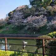 ヒメ日記 2026/04/09 07:56 投稿 天海佑梨 プレジデントハウス