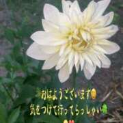 ヒメ日記 2026/06/02 06:29 投稿 天海佑梨 プレジデントハウス