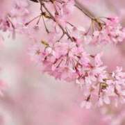 瀬奈(せな) 次回22:00頃〜 堺・南大阪泡洗体ハイブリッドエステ