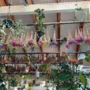 ヒメ日記 2025/09/01 17:53 投稿 なな ぷるるんマダム 難波店