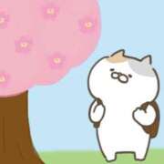 ヒメ日記 2026/02/12 19:24 投稿 なな ぷるるんマダム 難波店