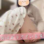 ヒメ日記 2024/11/18 10:00 投稿 柴咲 モアグループ大宮人妻花壇