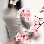 ヒメ日記 2025/02/03 11:48 投稿 柴咲 モアグループ大宮人妻花壇