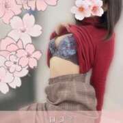 ヒメ日記 2025/02/16 12:33 投稿 柴咲 モアグループ大宮人妻花壇