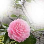 ヒメ日記 2025/03/03 21:34 投稿 柴咲 モアグループ大宮人妻花壇