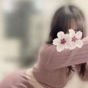 ヒメ日記 2025/03/17 08:03 投稿 柴咲 モアグループ大宮人妻花壇