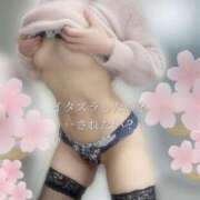 ヒメ日記 2025/03/17 11:48 投稿 柴咲 モアグループ大宮人妻花壇