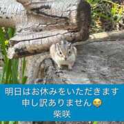 ヒメ日記 2025/04/03 23:03 投稿 柴咲 モアグループ大宮人妻花壇