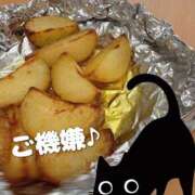 ヒメ日記 2025/04/15 11:48 投稿 柴咲 モアグループ大宮人妻花壇