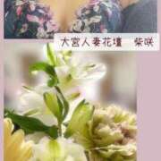 ヒメ日記 2025/04/25 07:18 投稿 柴咲 モアグループ大宮人妻花壇