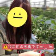 ヒメ日記 2025/05/03 07:48 投稿 柴咲 モアグループ大宮人妻花壇