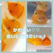 ヒメ日記 2025/05/22 08:48 投稿 柴咲 モアグループ大宮人妻花壇