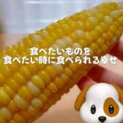 ヒメ日記 2025/06/16 16:33 投稿 柴咲 モアグループ大宮人妻花壇