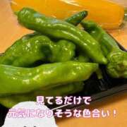 ヒメ日記 2025/06/18 16:18 投稿 柴咲 モアグループ大宮人妻花壇