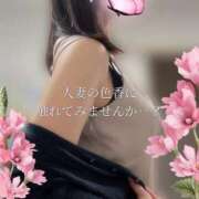 ヒメ日記 2025/06/24 07:57 投稿 柴咲 モアグループ大宮人妻花壇