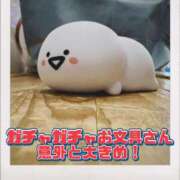 ヒメ日記 2025/06/28 13:33 投稿 柴咲 モアグループ大宮人妻花壇