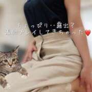 ヒメ日記 2025/07/01 15:27 投稿 柴咲 モアグループ大宮人妻花壇