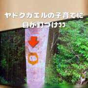 ヒメ日記 2025/07/29 08:54 投稿 柴咲 モアグループ大宮人妻花壇