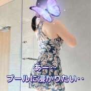 ヒメ日記 2025/09/08 08:00 投稿 柴咲 モアグループ大宮人妻花壇