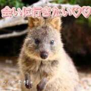 ヒメ日記 2025/09/28 08:42 投稿 柴咲 モアグループ大宮人妻花壇